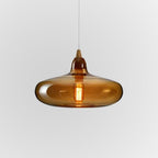 Fenrenwren Glass Pendant Light-Moonnatur