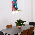 Edrina Brass Pendant Light-Moonnatur