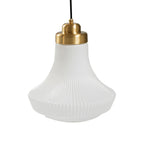 Bromelia Glass Pendant Light-Moonnatur