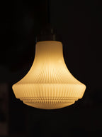 Bromelia Glass Pendant Light-Moonnatur