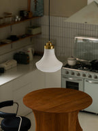 Bromelia Glass Pendant Light-Moonnatur