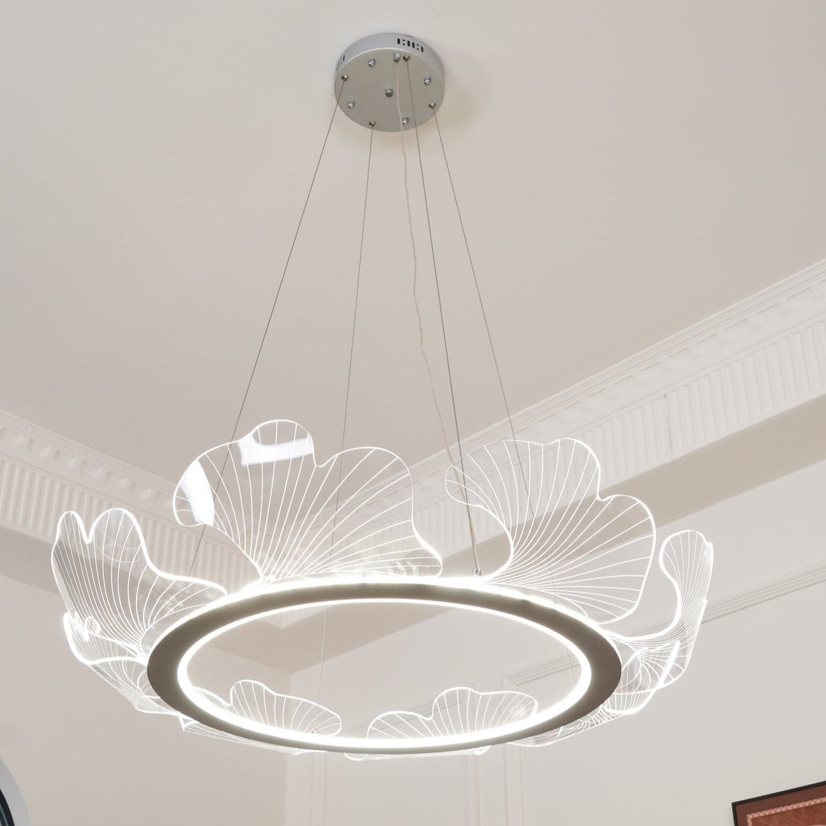 Selvenwren Acrylic Pendant Light-Moonnatur