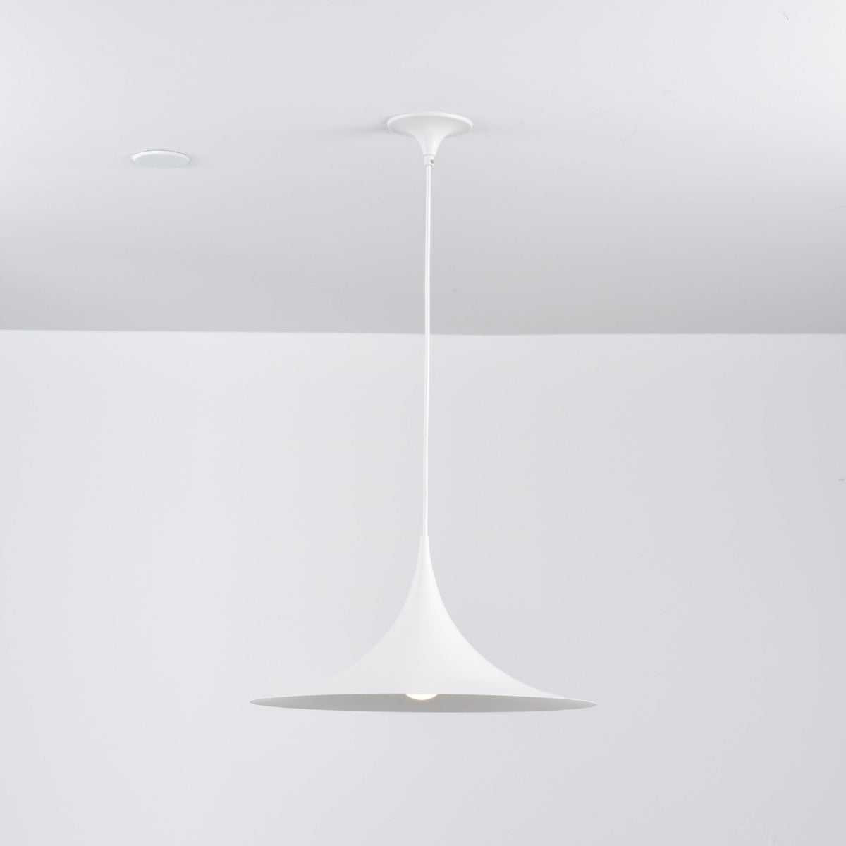 Jarnelle Steel Pendant Light-Moonnatur