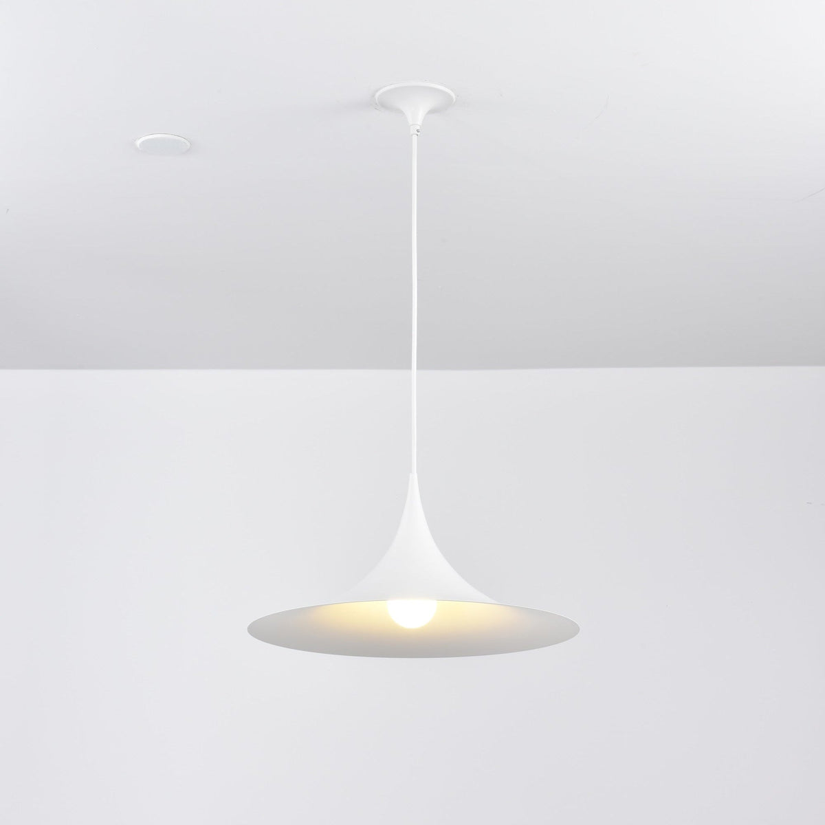 Jarnelle Steel Pendant Light-Moonnatur