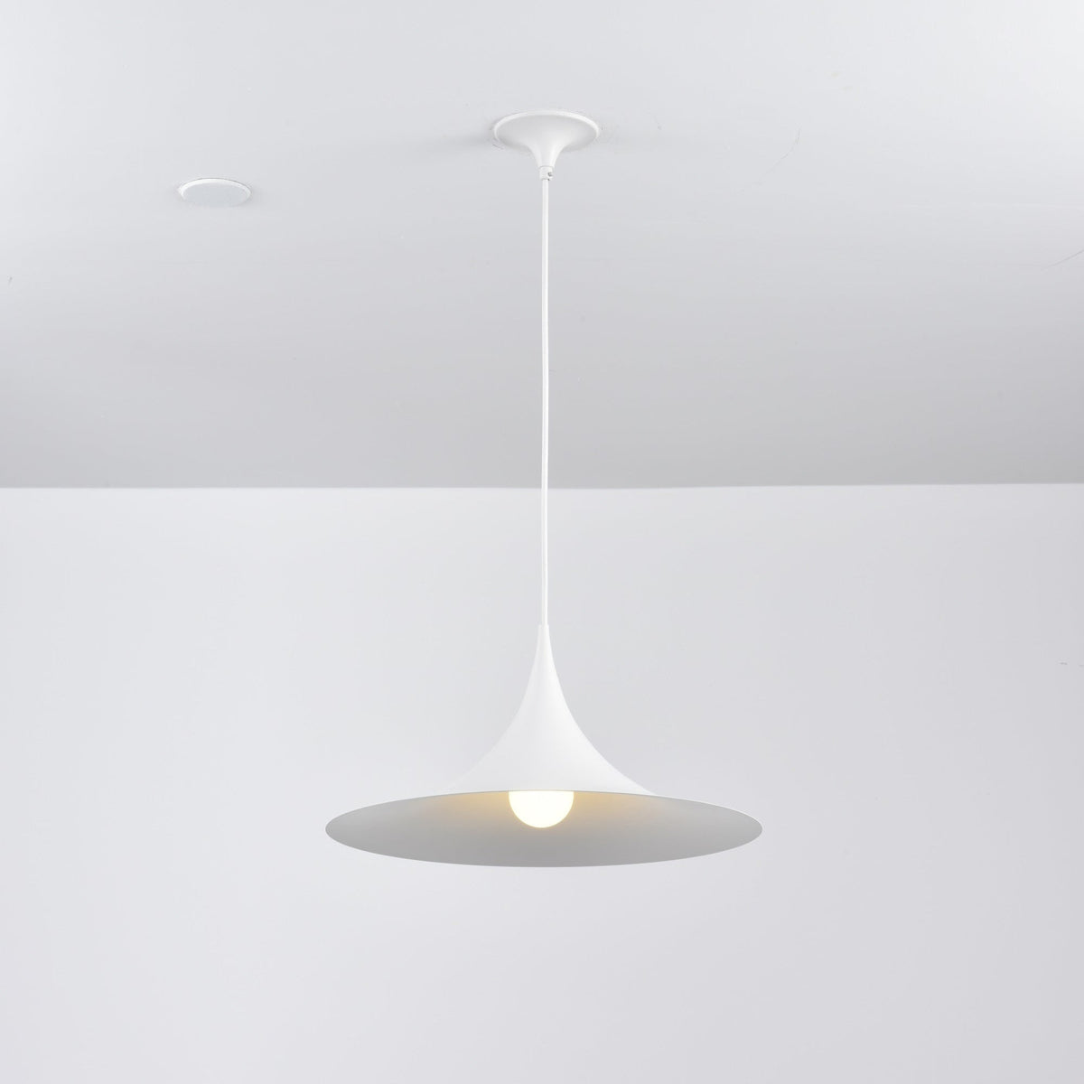 Jarnelle Steel Pendant Light-Moonnatur