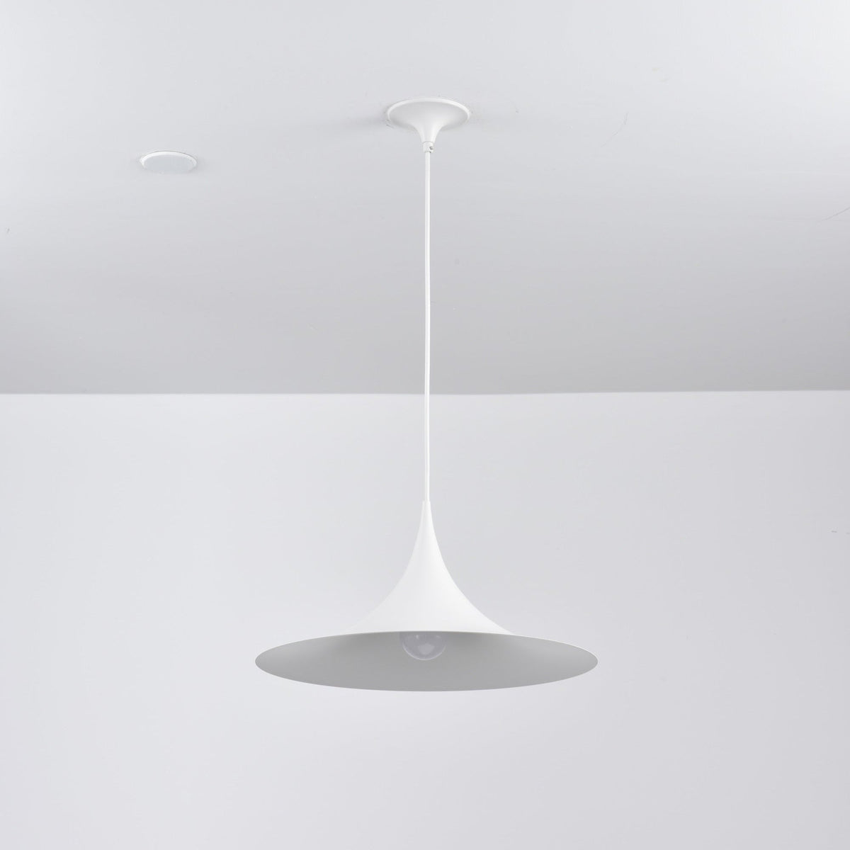Jarnelle Steel Pendant Light-Moonnatur