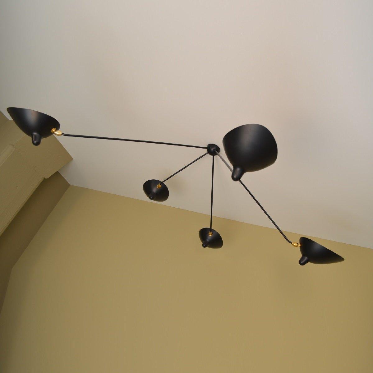 Everiel Aluminium Ceiling Light-Moonnatur