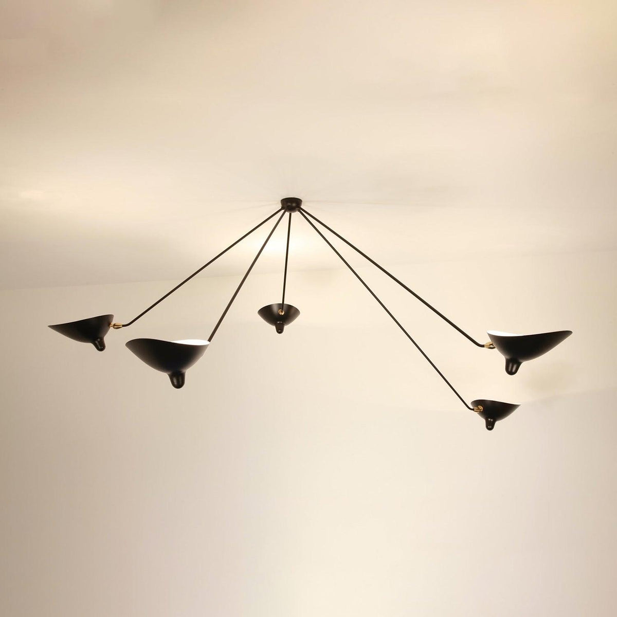 Everiel Aluminium Ceiling Light-Moonnatur