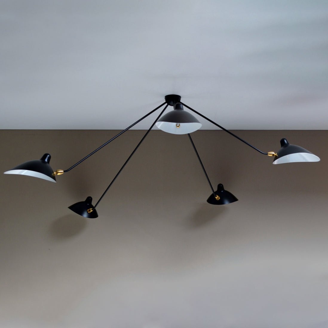 Everiel Aluminium Ceiling Light-Moonnatur