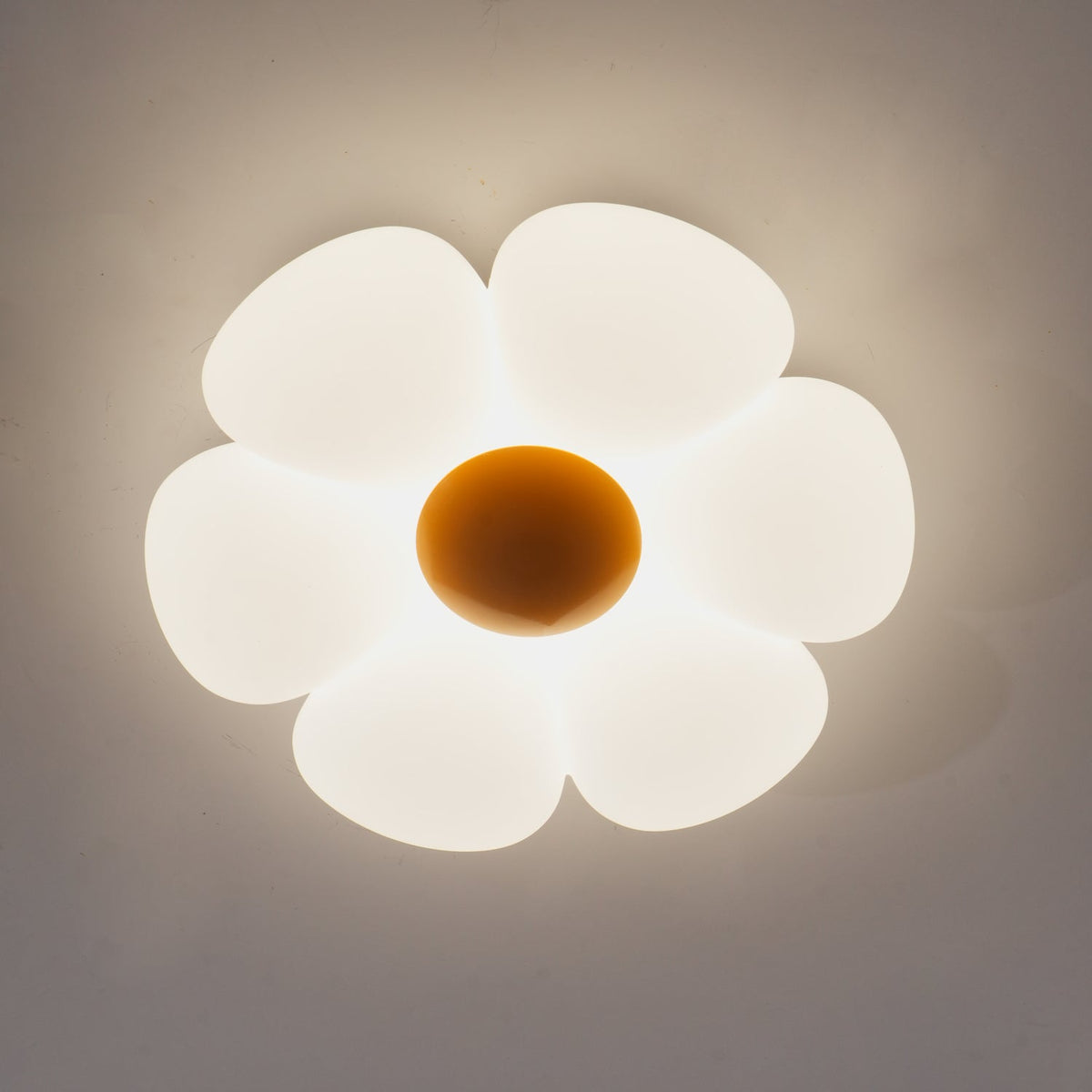 Xeloria PE Ceiling Lamp-Moonnatur