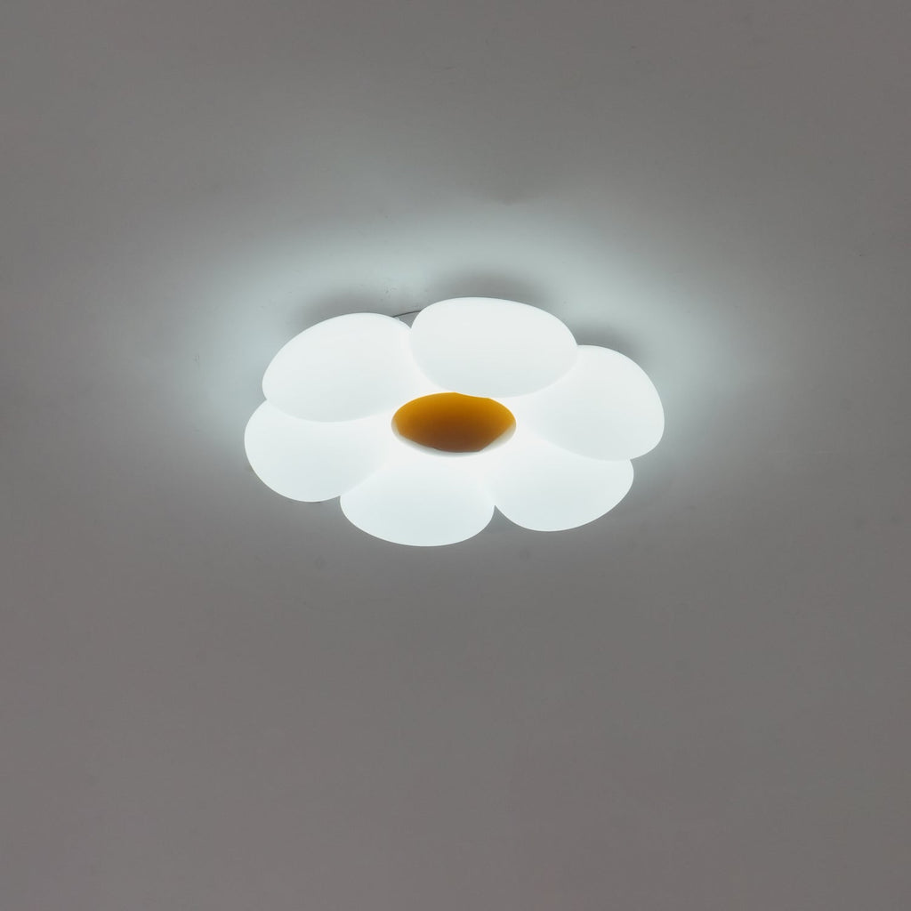 Xeloria PE Ceiling Lamp-Moonnatur