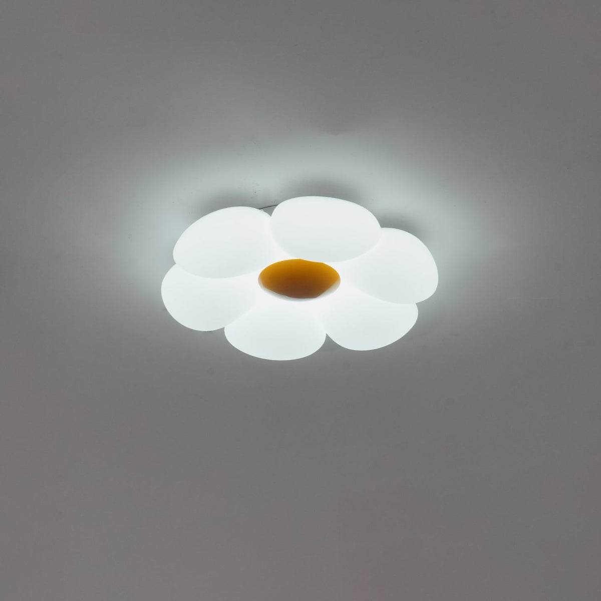 Xeloria PE Ceiling Lamp-Moonnatur
