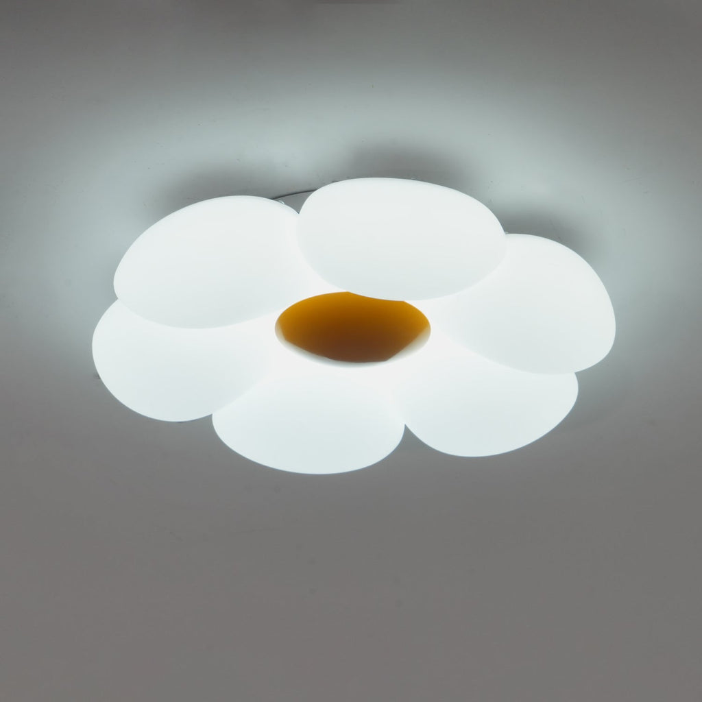 Xeloria PE Ceiling Lamp-Moonnatur