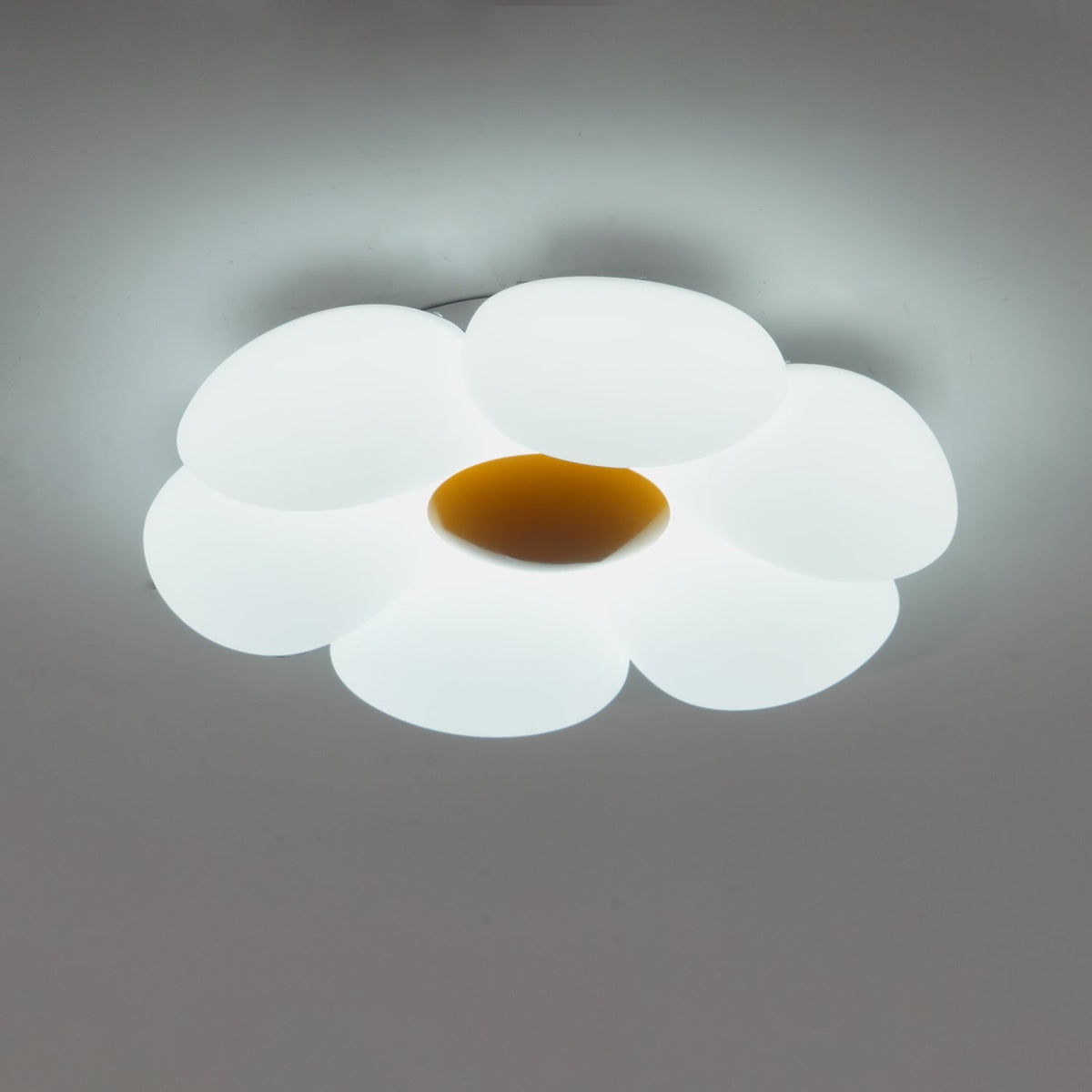 Xeloria PE Ceiling Lamp-Moonnatur