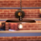 Denelwyn Metal Pendant Light-Moonnatur