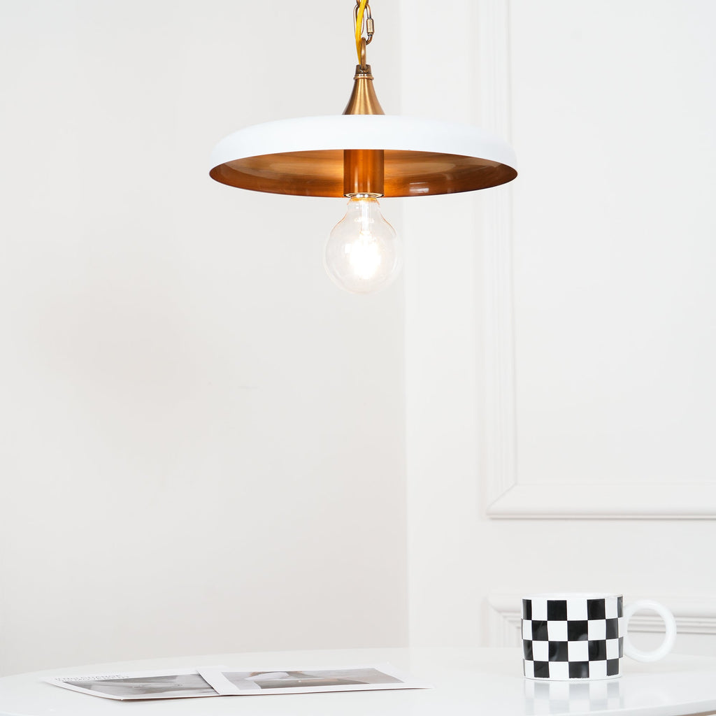 Denelwyn Metal Pendant Light-Moonnatur