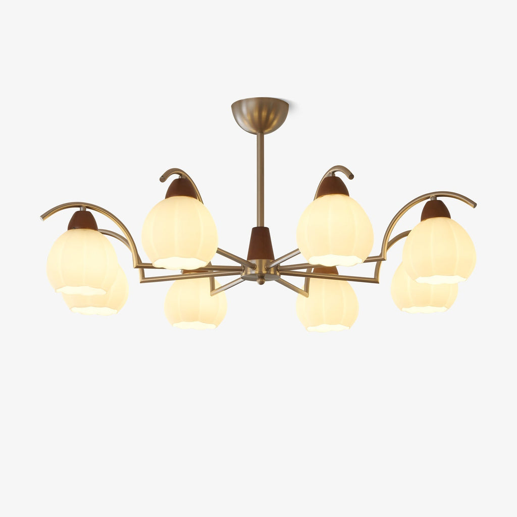 Cardenella Glass Chandelier-Moonnatur