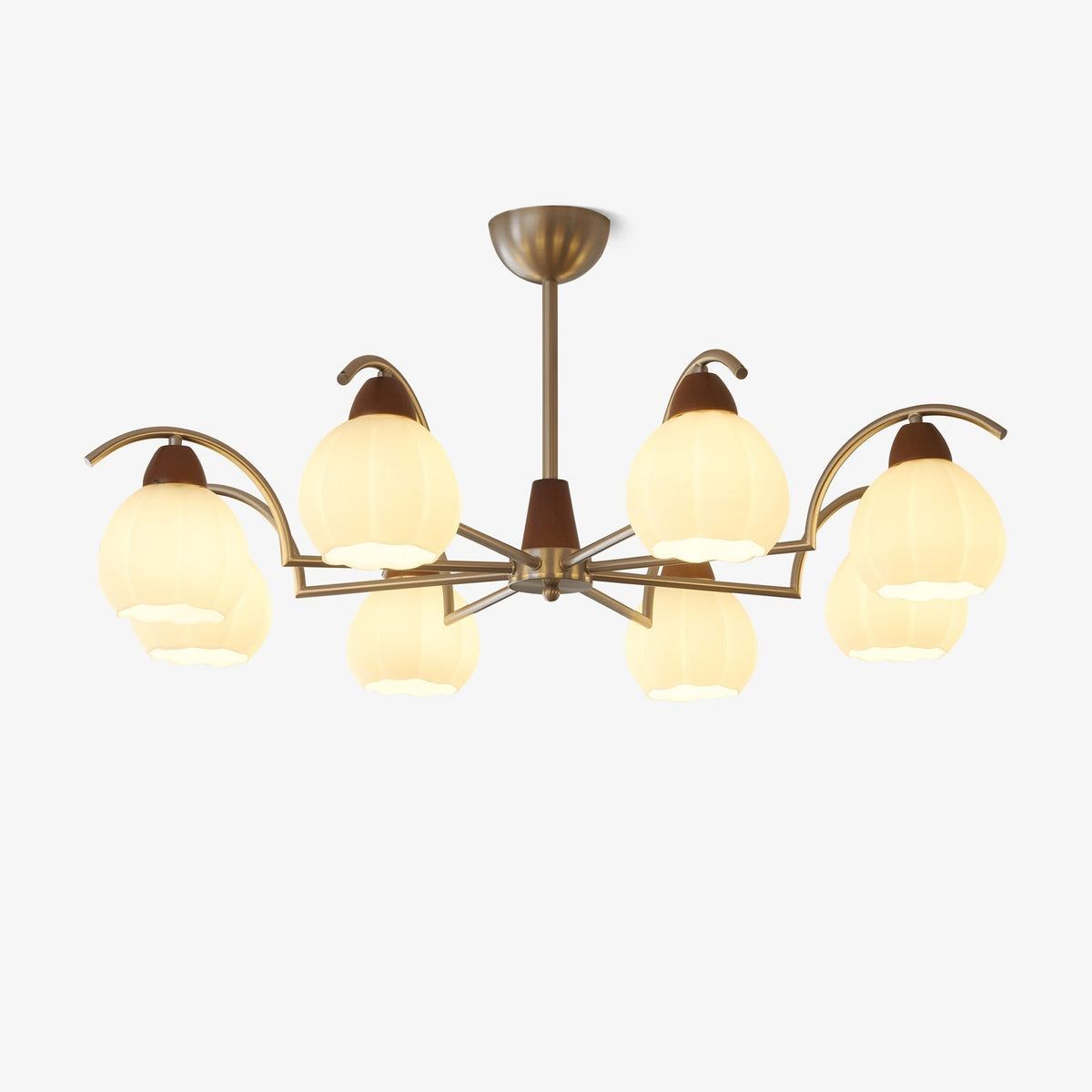 Cardenella Glass Chandelier-Moonnatur