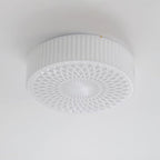 Renira Glass Ceiling Lamp-Moonnatur