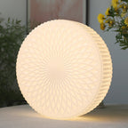 Renira Glass Ceiling Lamp-Moonnatur