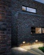 Brackenford Acrylic Wall Light-Moonnatur