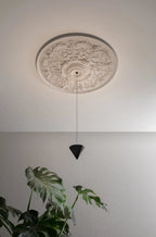Trevenlyn Acrylic Pendant Light-Moonnatur