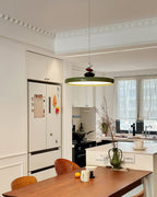 Junwyn Acrylic Pendant Light-Moonnatur