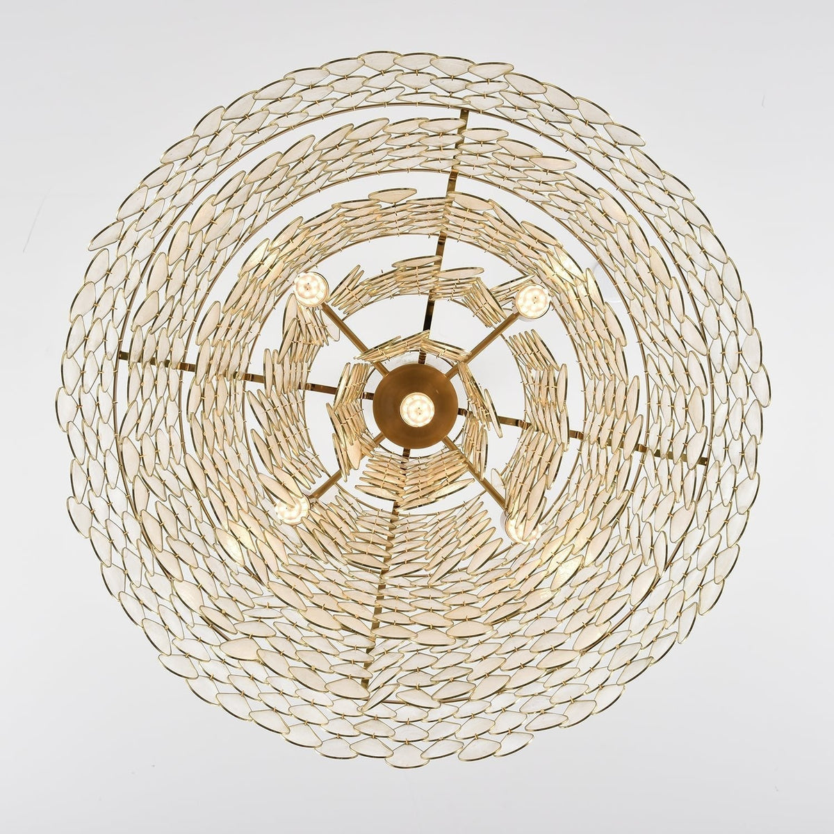 Savenwyn Shell Chandelier-Moonnatur