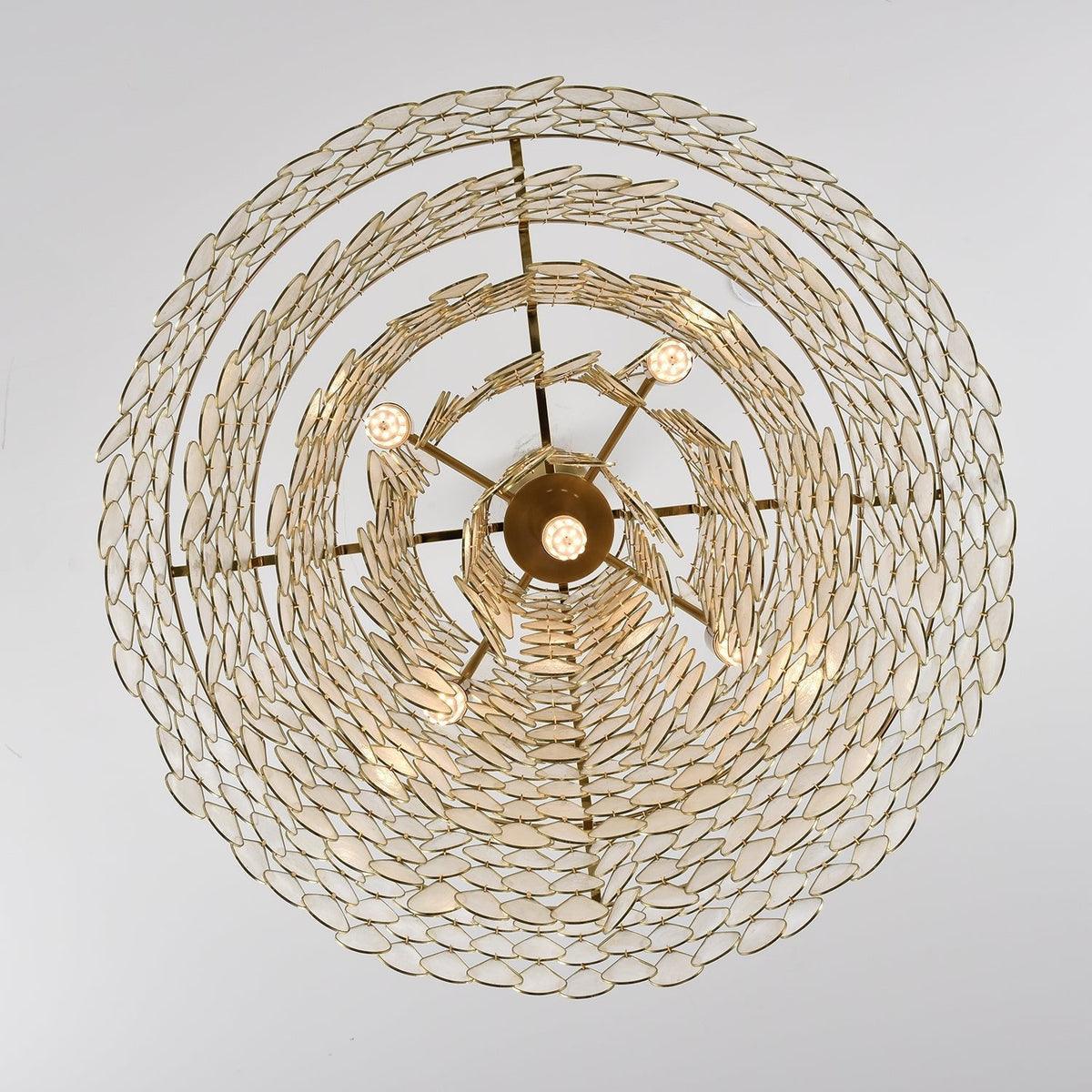 Savenwyn Shell Chandelier-Moonnatur