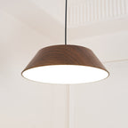 Haldelwick Metal Pendant Light-Moonnatur