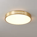 Larenaria Brass Ceiling Light-Moonnatur