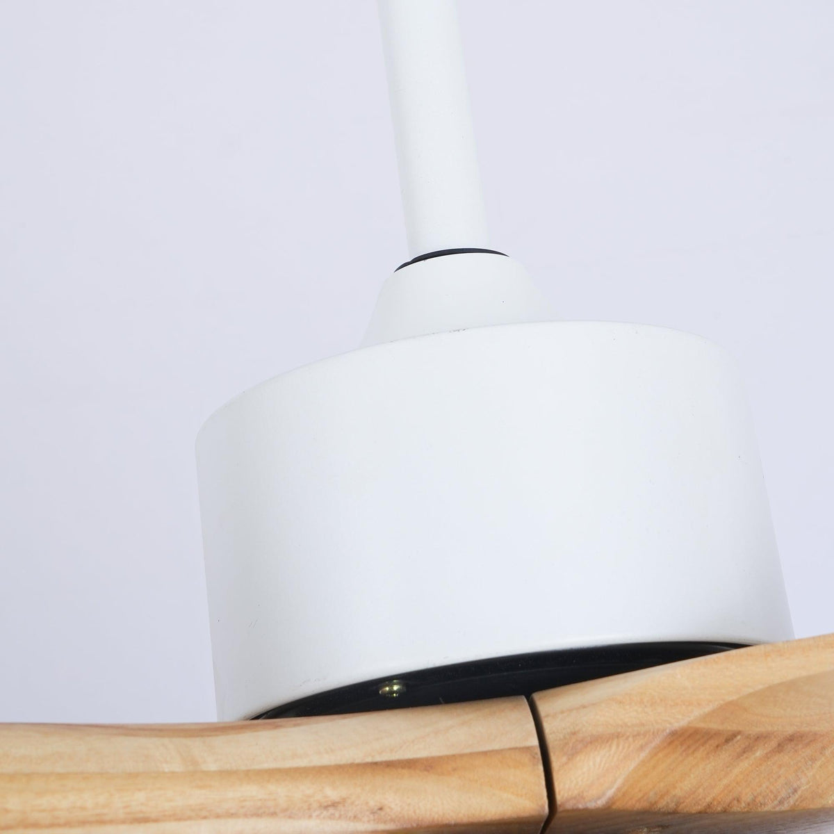 Treveniel Wood Ceiling Fan-Moonnatur