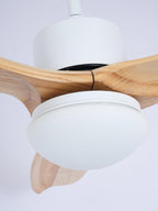 Treveniel Wood Ceiling Fan-Moonnatur