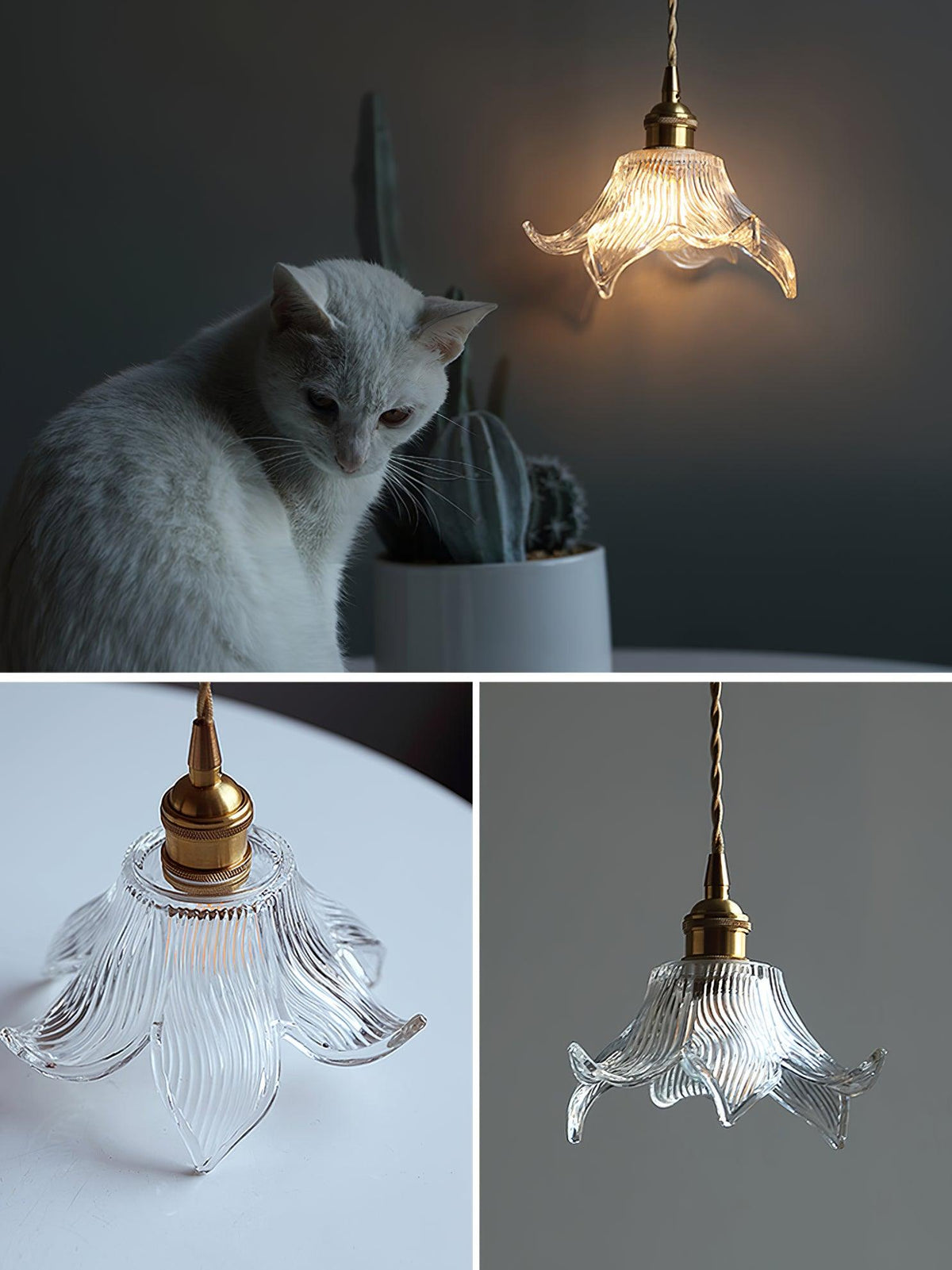 Briereth Glass Pendant Light-Moonnatur