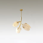 Wrenwyn Glass Chandelier-Moonnatur