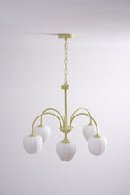 Barrowina Glass Chandelier-Moonnatur