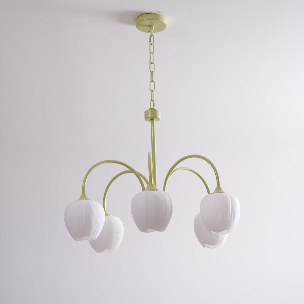 Barrowina Glass Chandelier-Moonnatur