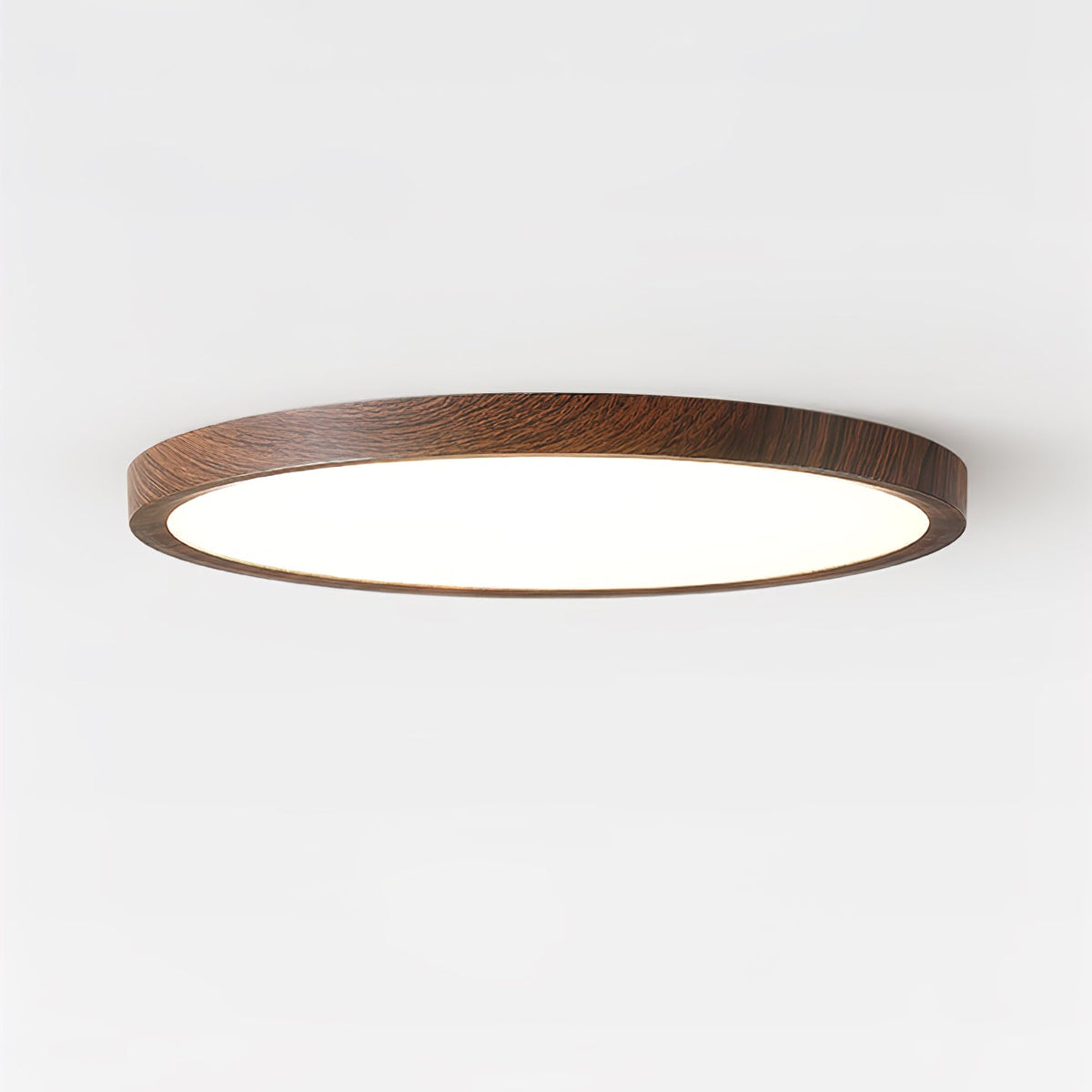 Cavendrel Acrylic Ceiling Light-Moonnatur