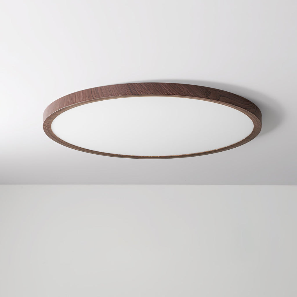 Cavendrel Acrylic Ceiling Light-Moonnatur