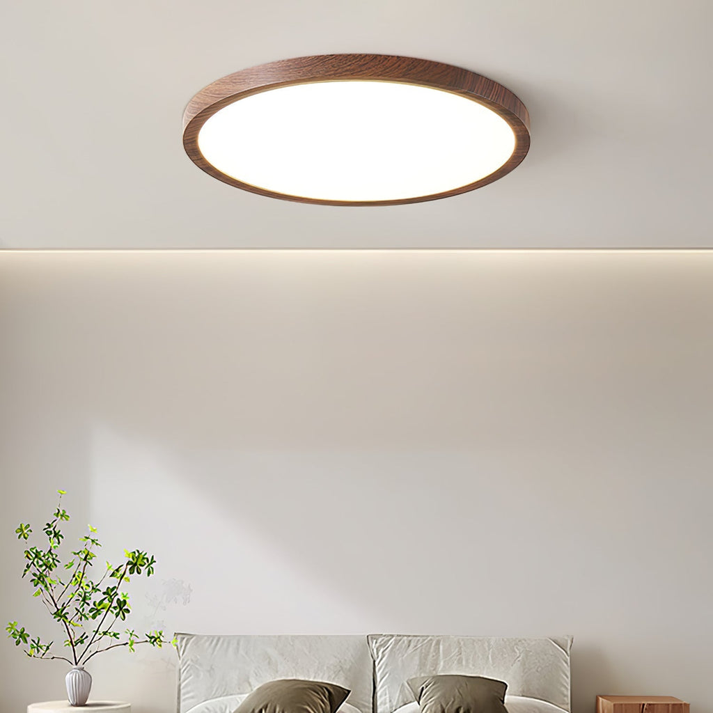 Cavendrel Acrylic Ceiling Light-Moonnatur