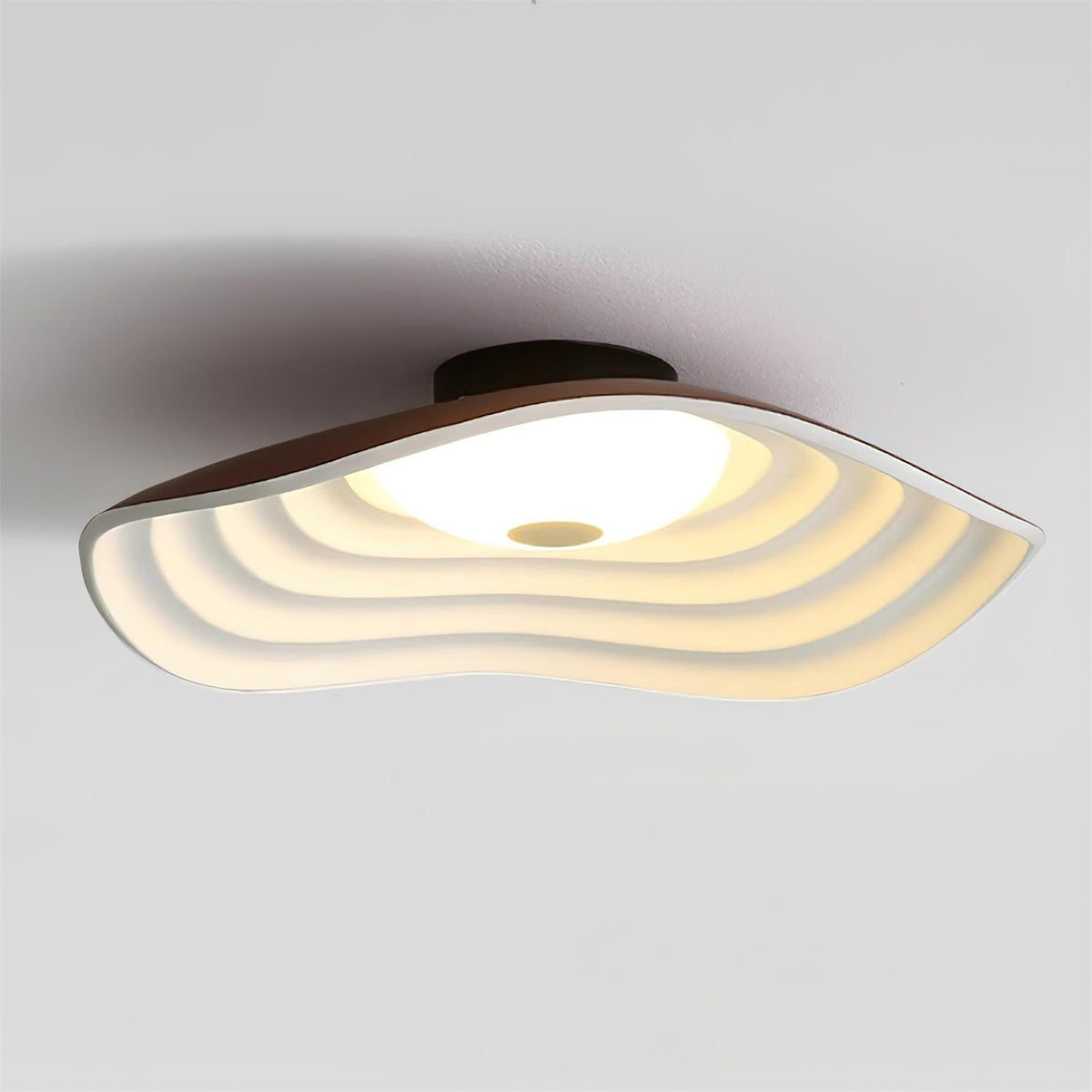 Kesterwren Resin Ceiling Light-Moonnatur