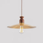 Rovenenora Brass Pendant Light-Moonnatur