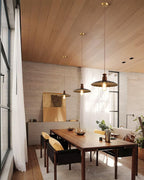 Rovenenora Brass Pendant Light-Moonnatur