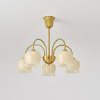 Farnelenora Resin Chandelier-Moonnatur