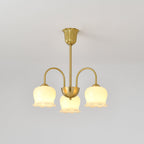 Farnelenora Resin Chandelier-Moonnatur