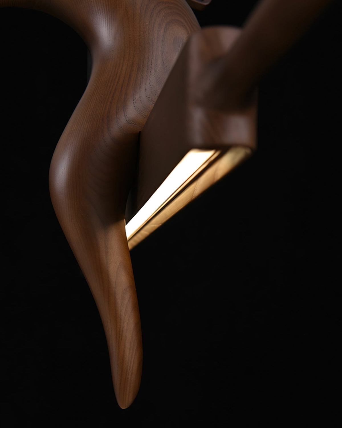 Coraara Wood Pendant Light-Moonnatur