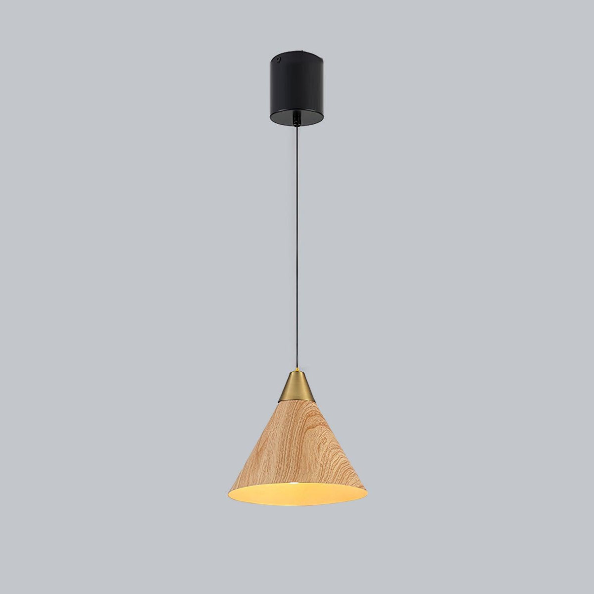 Rowenina Iron Pendant Light-Moonnatur
