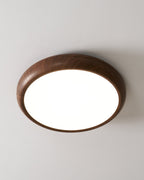 Gioriva Acrylic Ceiling Light-Moonnatur