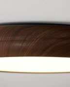 Gioriva Acrylic Ceiling Light-Moonnatur
