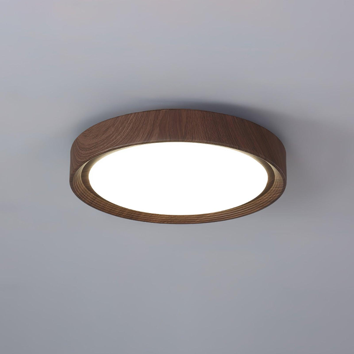 Rildenhill Acrylic Ceiling Light-Moonnatur